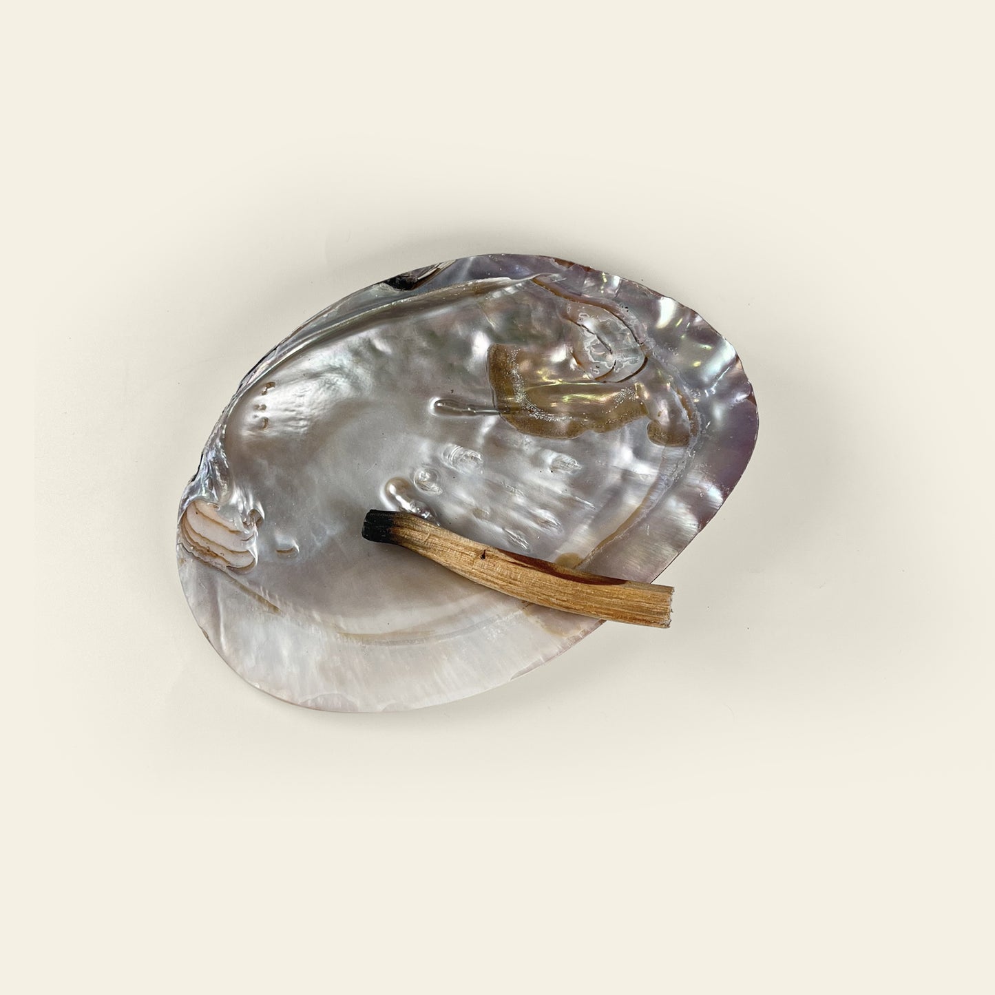 SMUDGE | ABALONE SHELL