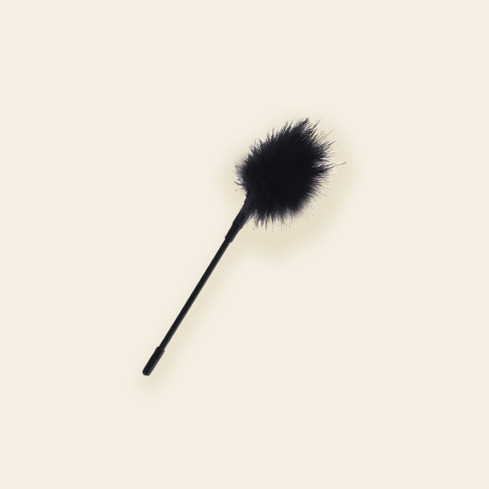 BDSM FEATHER TICKLER
