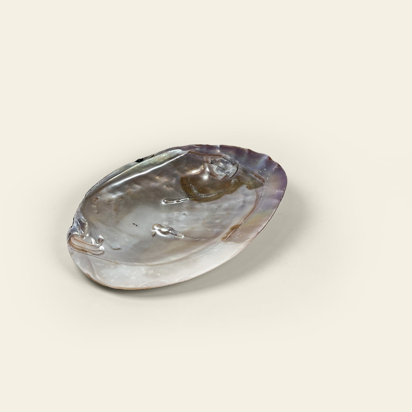 SMUDGE | ABALONE SHELL